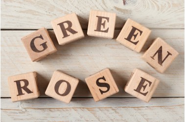 Kaip dirba Green Rose