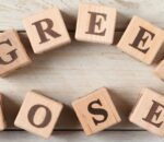 kaip dirba green rose